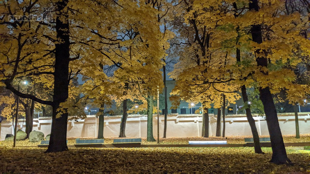 Visi buto langai žiūri į žalią parką ant - nuotraukos Nr. 19