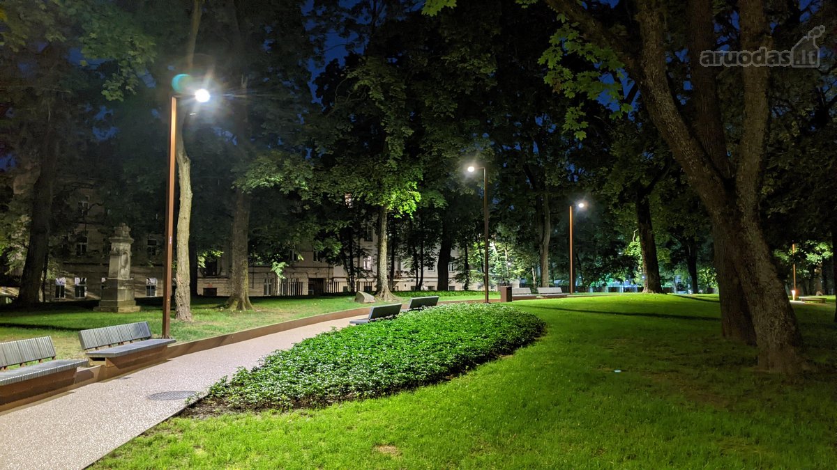 Visi buto langai žiūri į žalią parką ant - nuotraukos Nr. 21