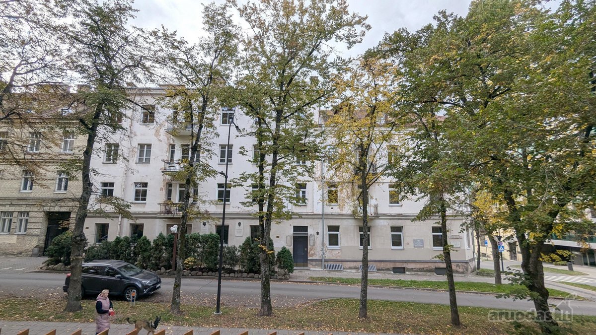 Visi buto langai žiūri į žalią parką ant - nuotraukos Nr. 23