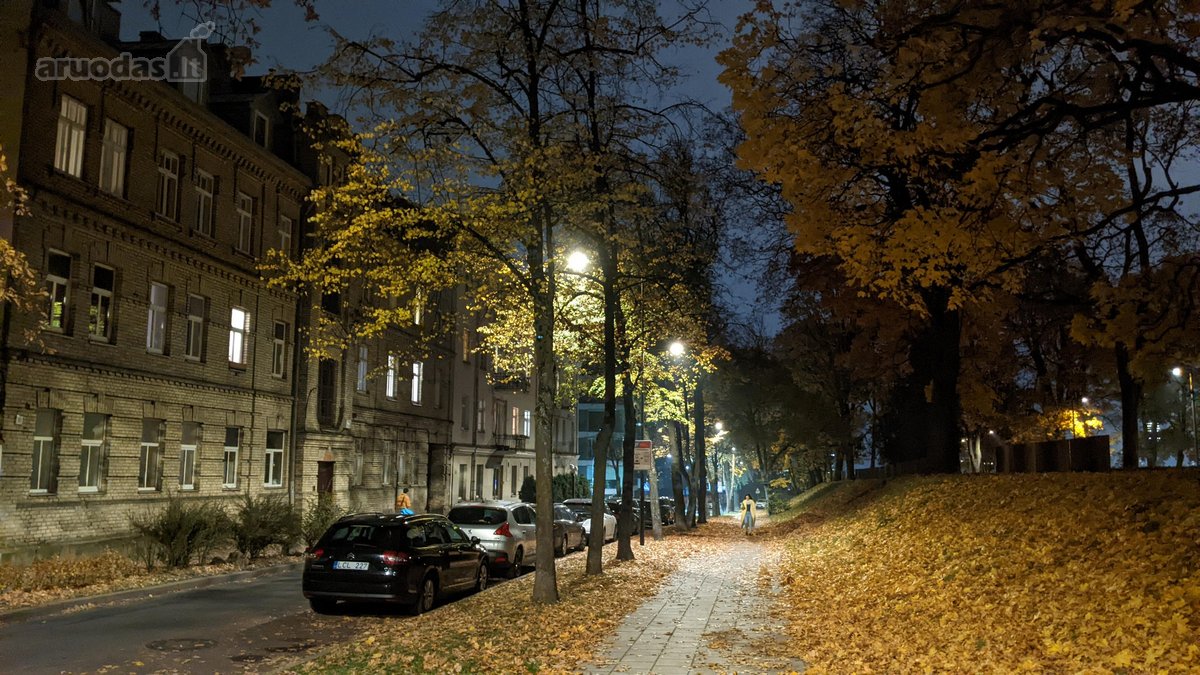 Visi buto langai žiūri į žalią parką ant - nuotraukos Nr. 20