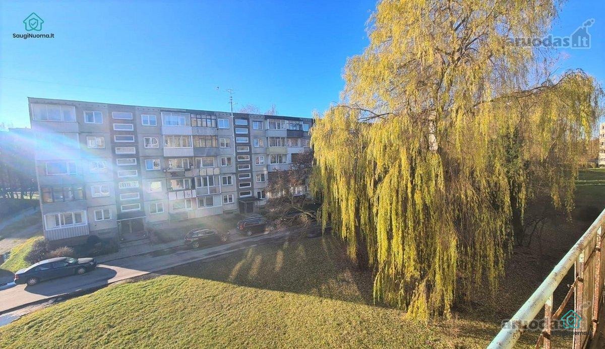 Nuo rugsėjo 14d. Išnuomojamas šviesus ir - nuotraukos Nr. 15