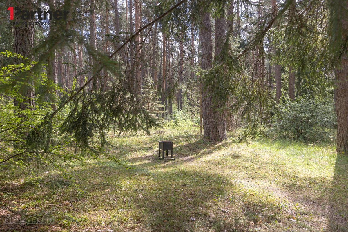 Parduodamas šviesus ir jaukus dviejų kambarių - nuotraukos Nr. 15