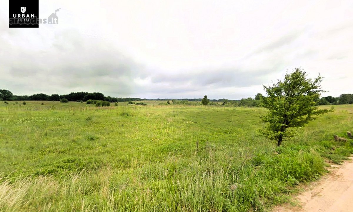 13.76 Ha Bendro Ploto Žemės Ūkio Paskirties - nuotraukos Nr. 4