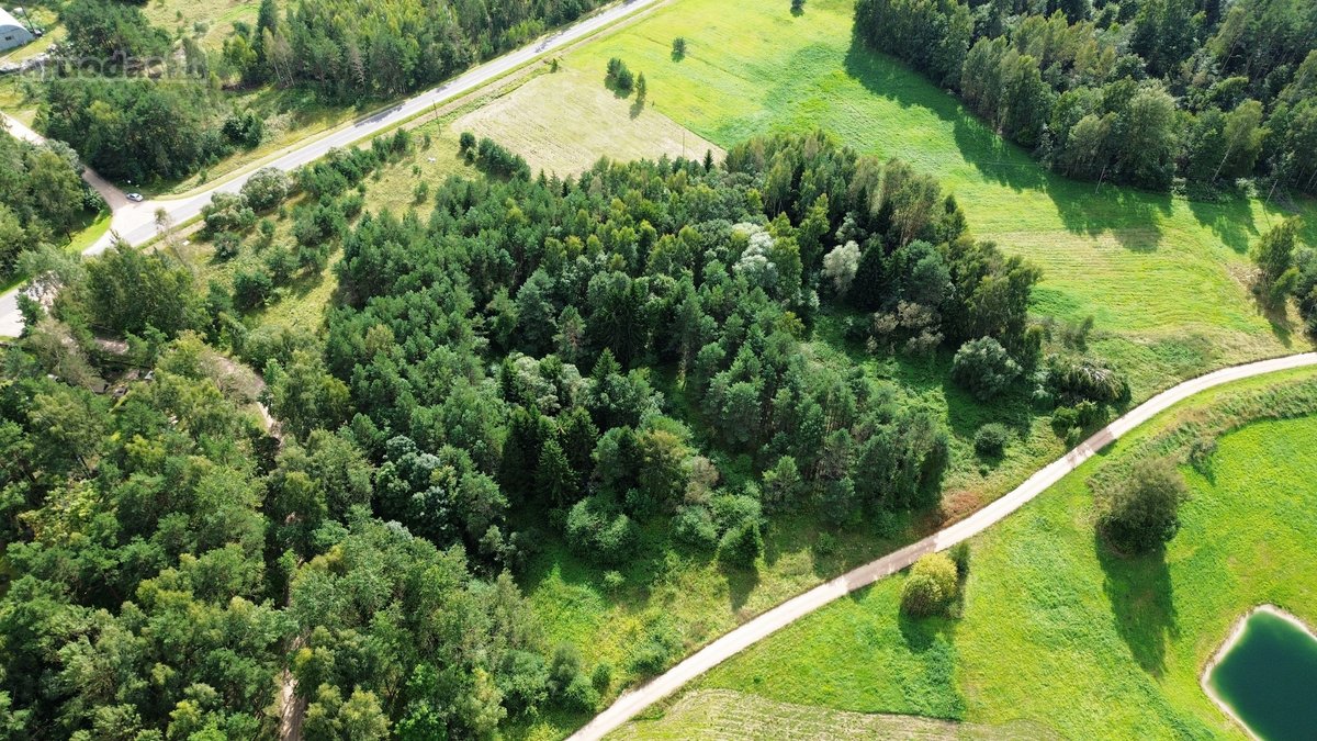 Parduodamas 2,40 ha žemės sklypas Sudeikių - nuotraukos Nr. 10
