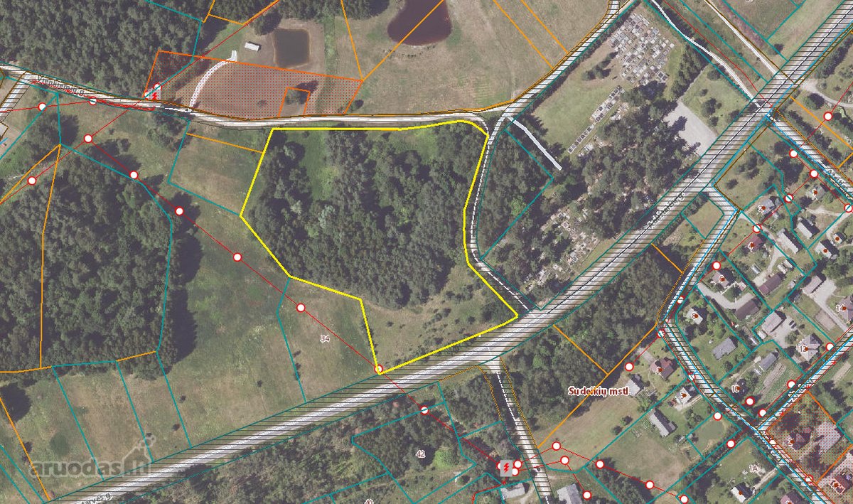 Parduodamas 2,40 ha žemės sklypas Sudeikių - nuotraukos Nr. 13