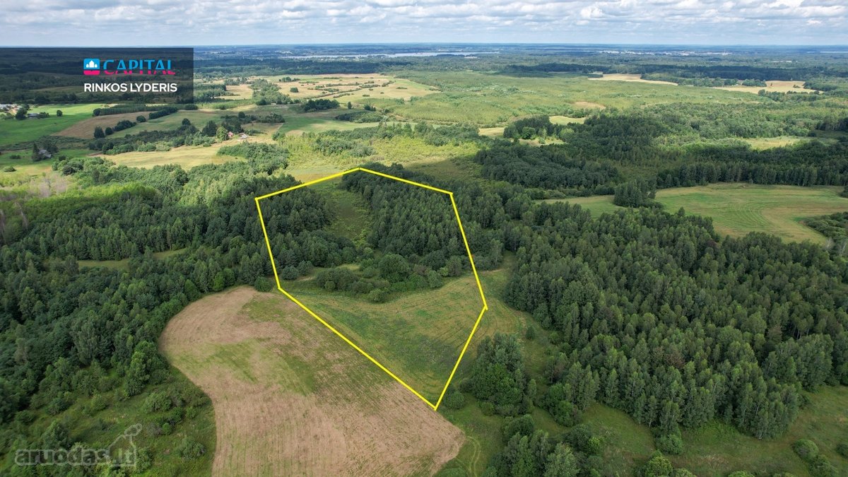 Parduodamas 4,85 ha žemės ūkio paskirties - nuotraukos Nr. 3