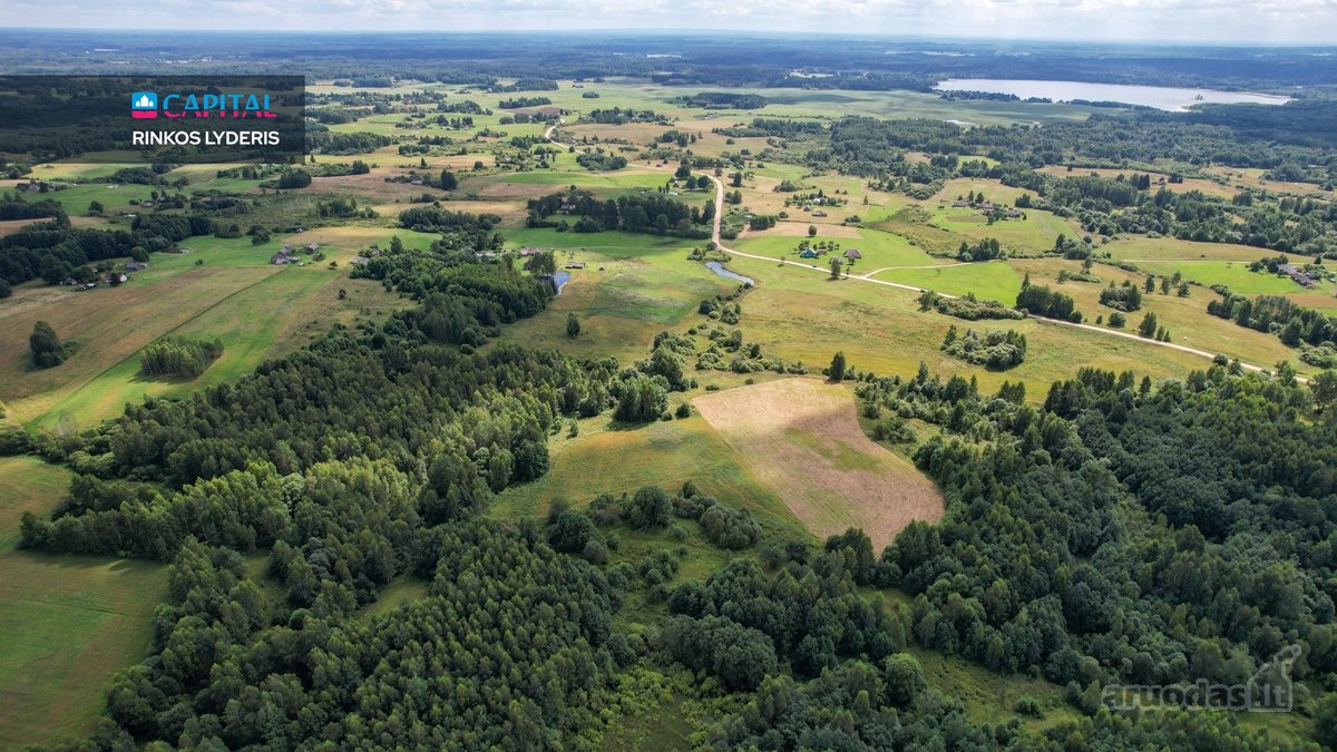 Parduodamas 4,85 ha žemės ūkio paskirties - nuotraukos Nr. 4