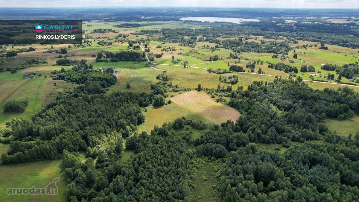 Parduodamas 4,85 ha žemės ūkio paskirties - nuotraukos Nr. 5
