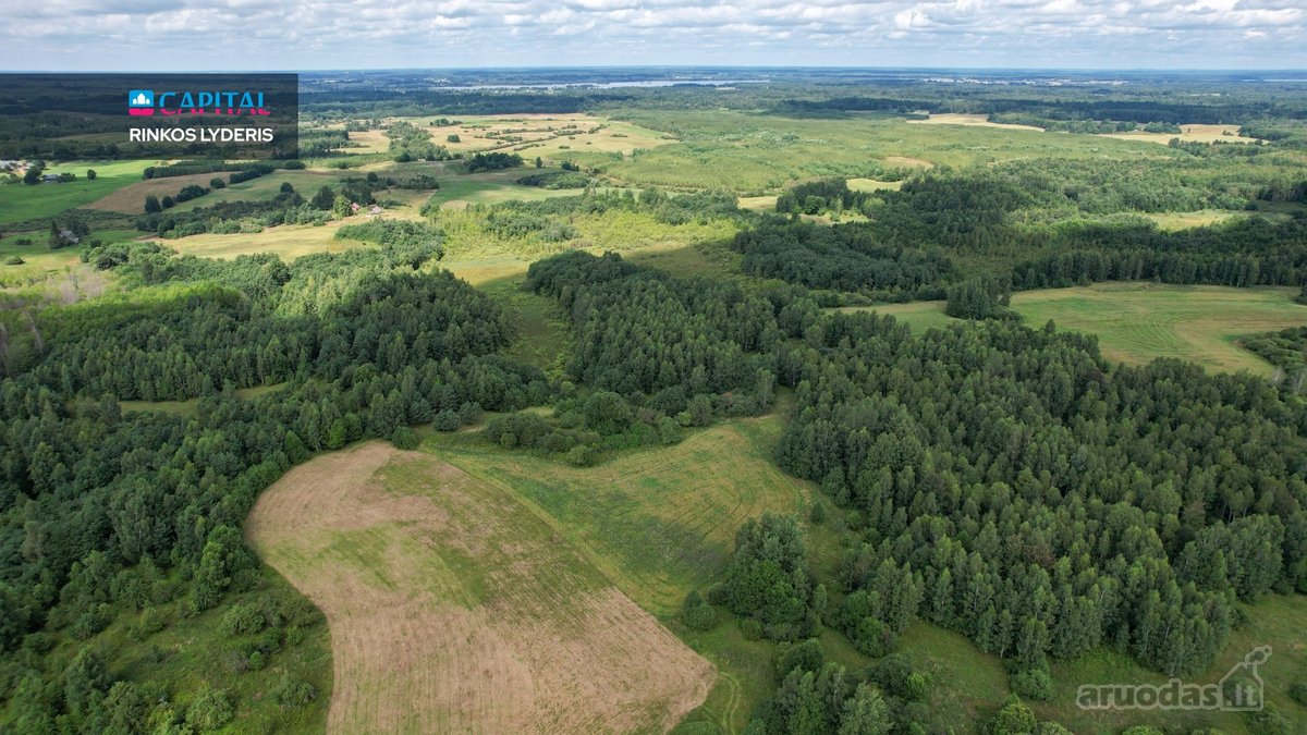 Parduodamas 4,85 ha žemės ūkio paskirties - nuotraukos Nr. 6