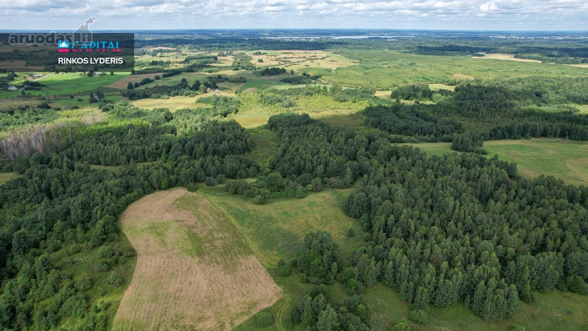 Parduodamas 4,85 ha žemės ūkio paskirties - nuotraukos Nr. 7