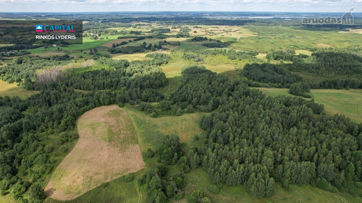 Parduodamas 4,85 ha žemės ūkio paskirties - nuotraukos Nr. 8