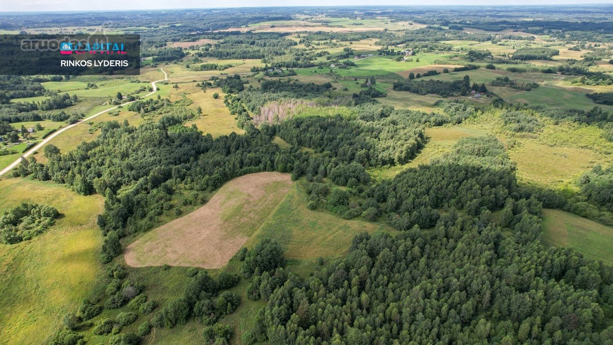 Parduodamas 4,85 ha žemės ūkio paskirties - nuotraukos Nr. 9