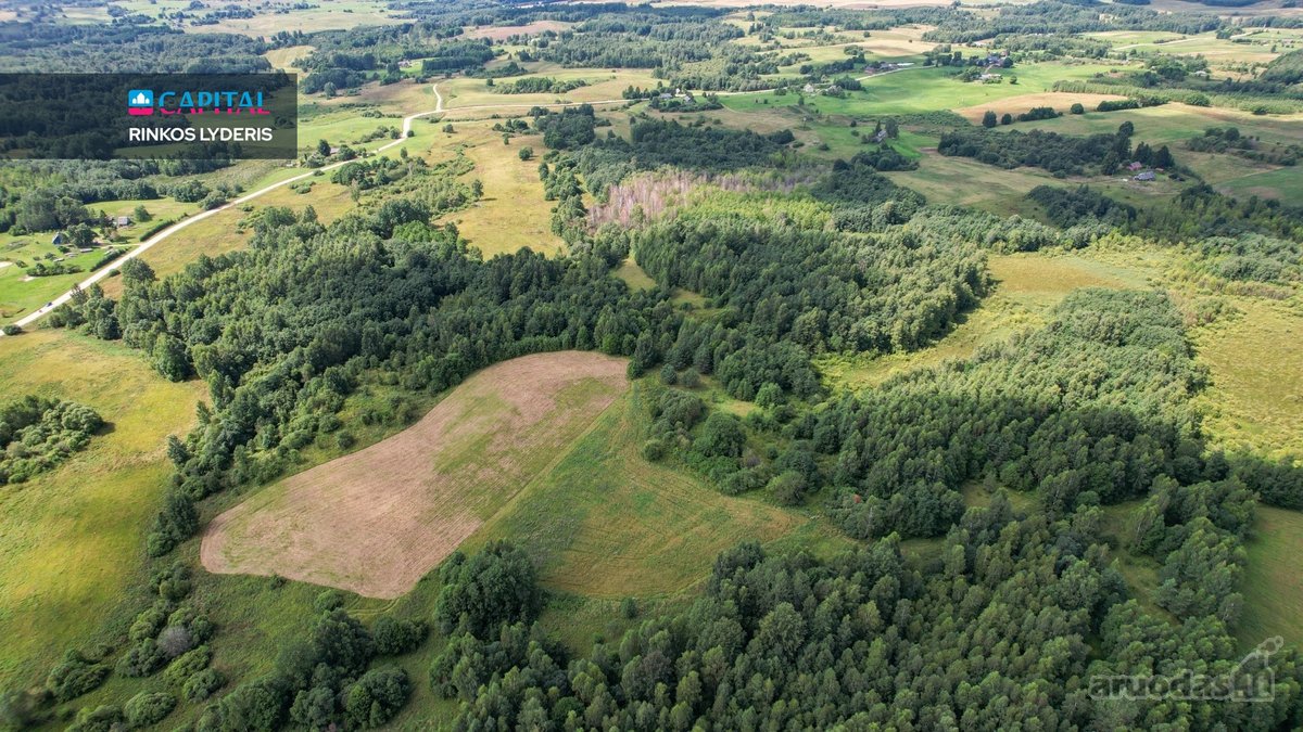 Parduodamas 4,85 ha žemės ūkio paskirties - nuotraukos Nr. 10