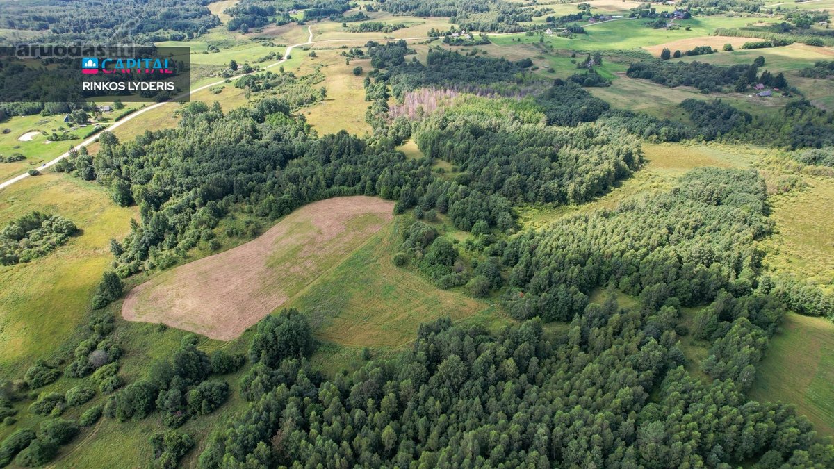 Parduodamas 4,85 ha žemės ūkio paskirties - nuotraukos Nr. 11