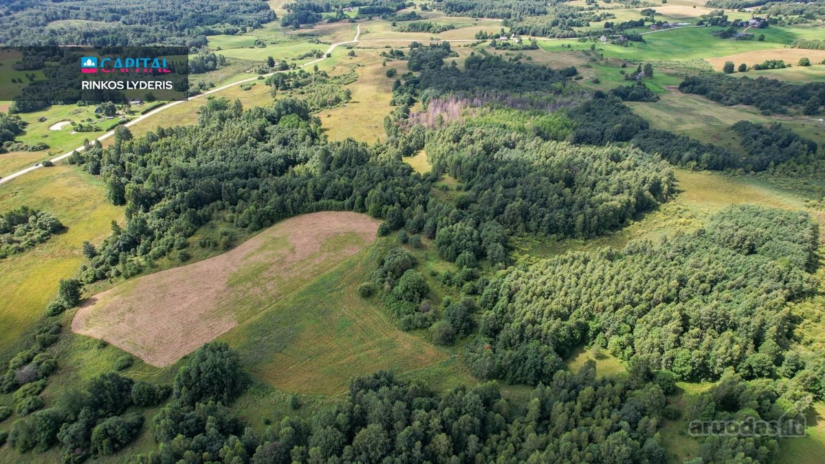 Parduodamas 4,85 ha žemės ūkio paskirties - nuotraukos Nr. 12