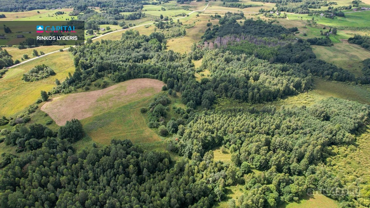 Parduodamas 4,85 ha žemės ūkio paskirties - nuotraukos Nr. 13