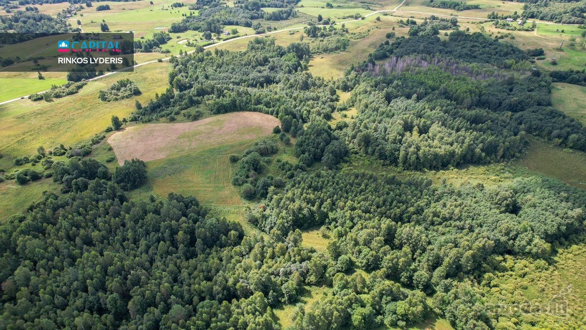 Parduodamas 4,85 ha žemės ūkio paskirties - nuotraukos Nr. 14
