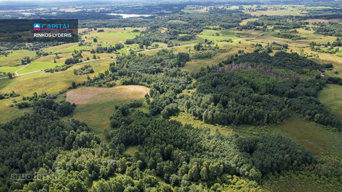 Parduodamas 4,85 ha žemės ūkio paskirties - nuotraukos Nr. 15