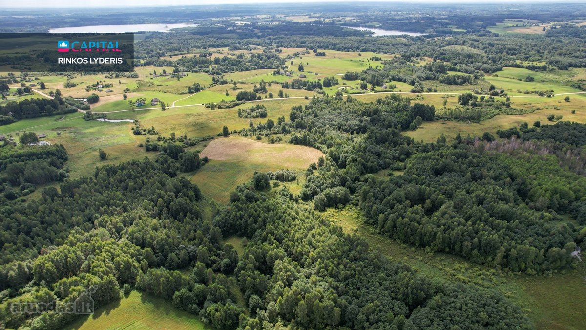 Parduodamas 4,85 ha žemės ūkio paskirties - nuotraukos Nr. 16