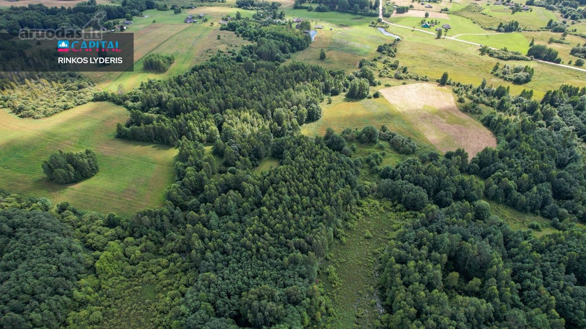 Parduodamas 4,85 ha žemės ūkio paskirties - nuotraukos Nr. 17