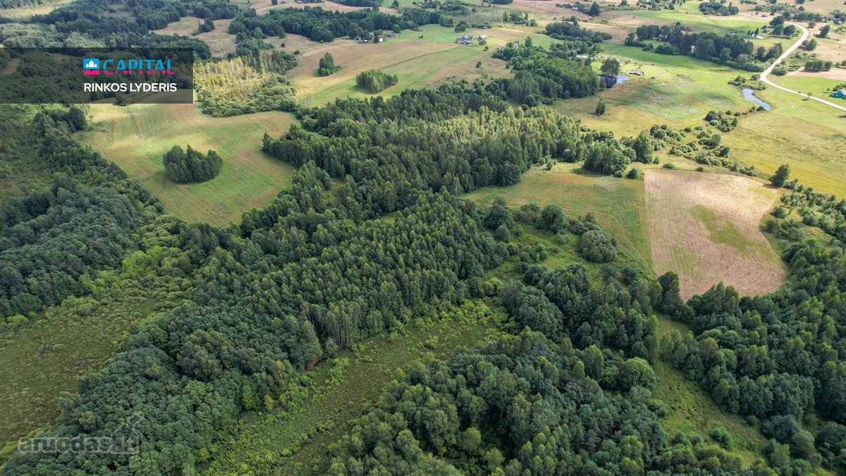 Parduodamas 4,85 ha žemės ūkio paskirties - nuotraukos Nr. 18