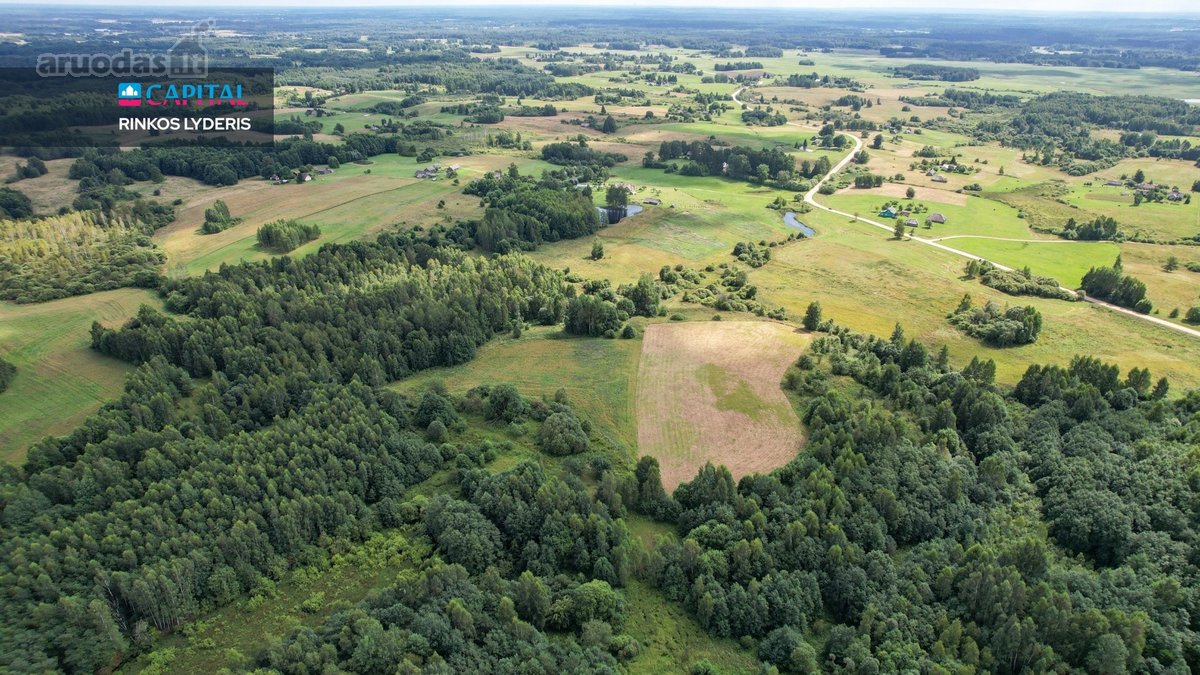 Parduodamas 4,85 ha žemės ūkio paskirties - nuotraukos Nr. 19