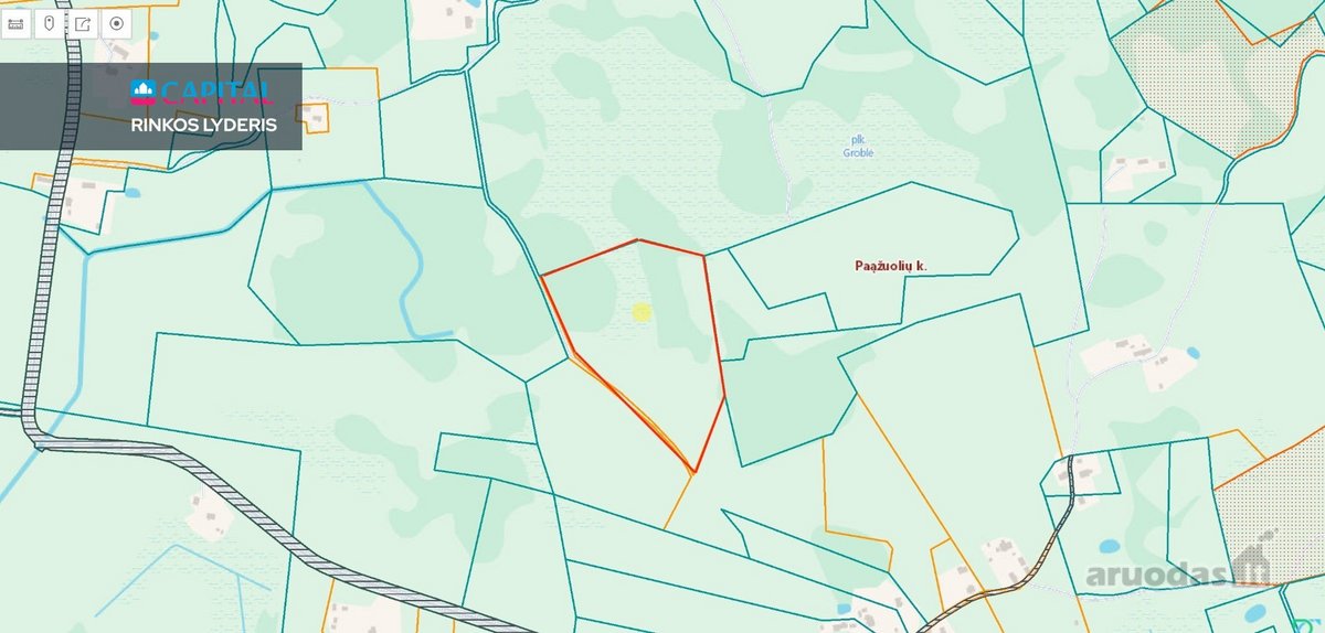 Parduodamas 4,85 ha žemės ūkio paskirties - nuotraukos Nr. 20