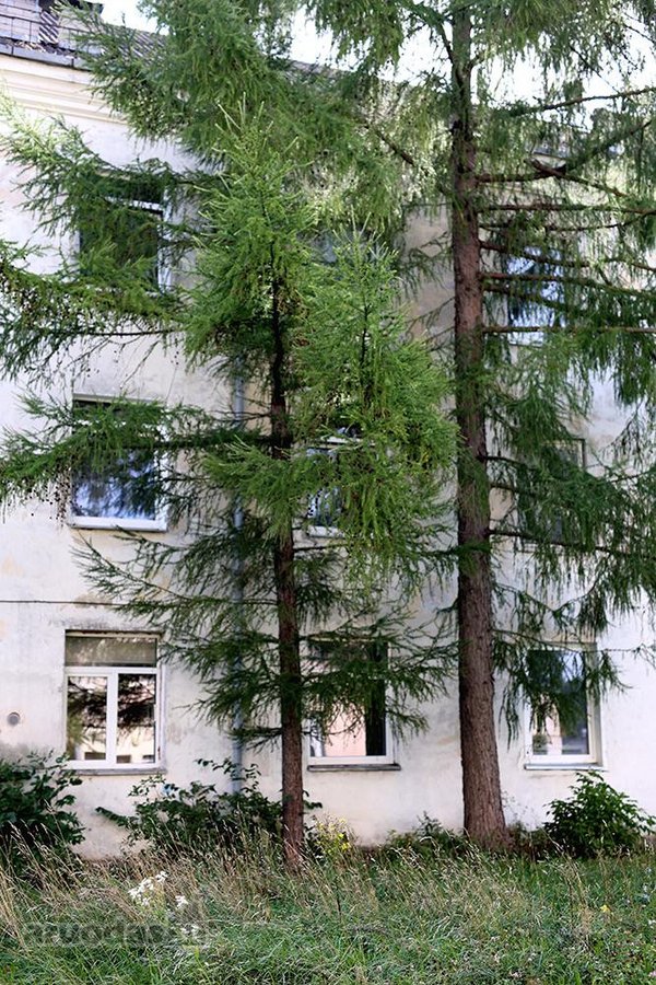 Nuomojamas tvarkingas 1 kamb. butas patogioje - nuotraukos Nr. 17