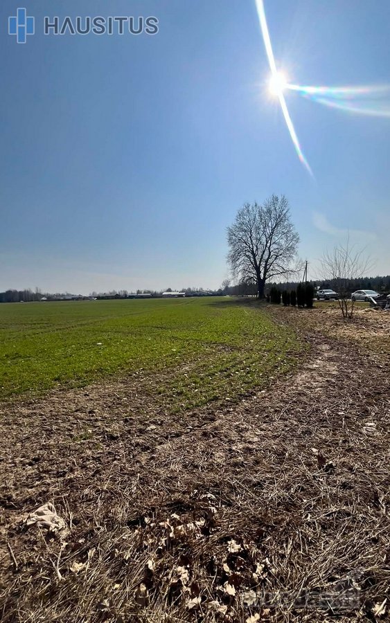 Parduodami namų valdos sklypai kvartale - - nuotraukos Nr. 3