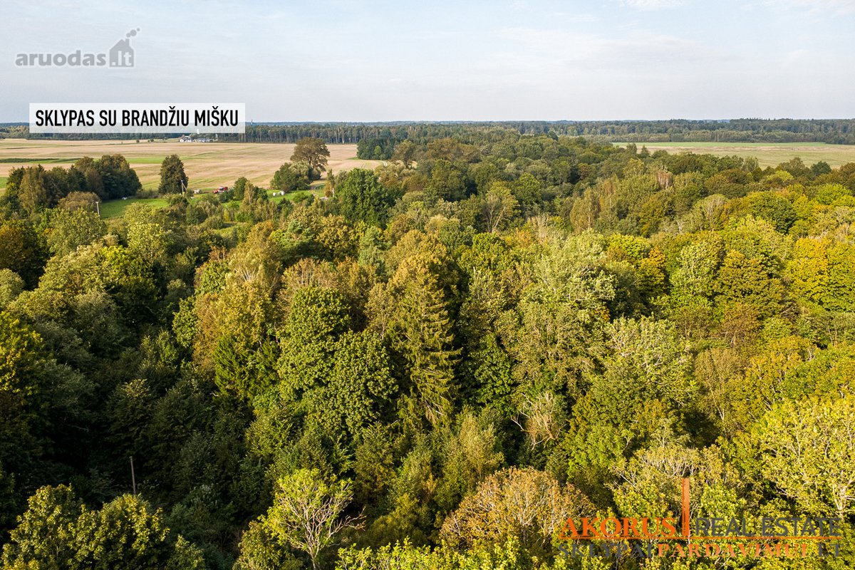 Verta Žinoti - nuotraukos Nr. 5