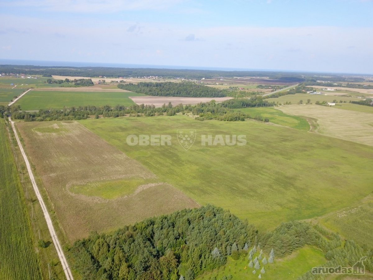 Žemės ūkio paskirties 5 ha žemės sklypas - nuotraukos Nr. 6