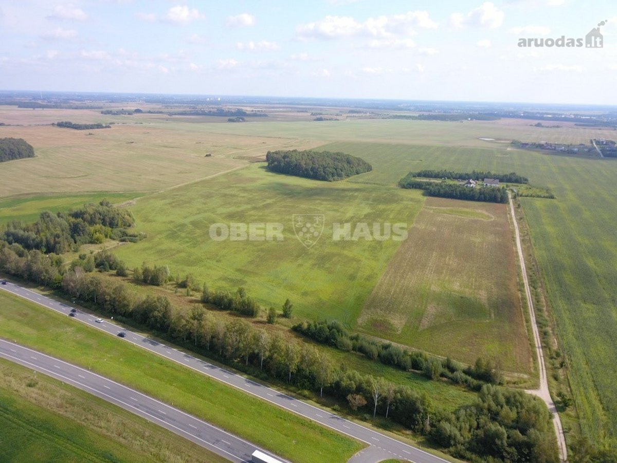 Žemės ūkio paskirties 5 ha žemės sklypas - nuotraukos Nr. 8