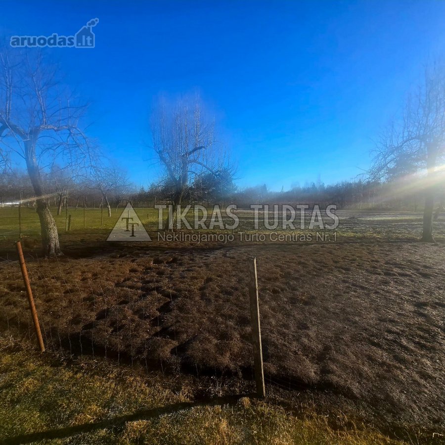 Parduodamas tvarkingas prižiūrėtas 1 aukšto - nuotraukos Nr. 15