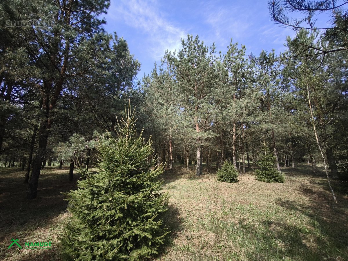 Parduodamas išpuoselėtas 4,43 ha bendro ploto - nuotraukos Nr. 4
