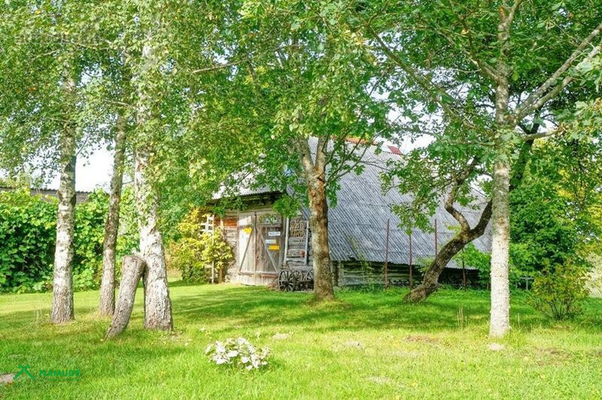 Parduodama nuostabi sodyba gamtos apsuptyje, - nuotraukos Nr. 23