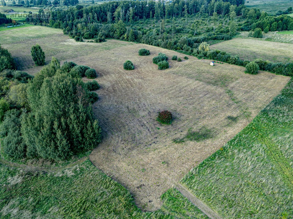 Parduodamas unikalus 1,67 ha žemės sklypas - nuotraukos Nr. 11