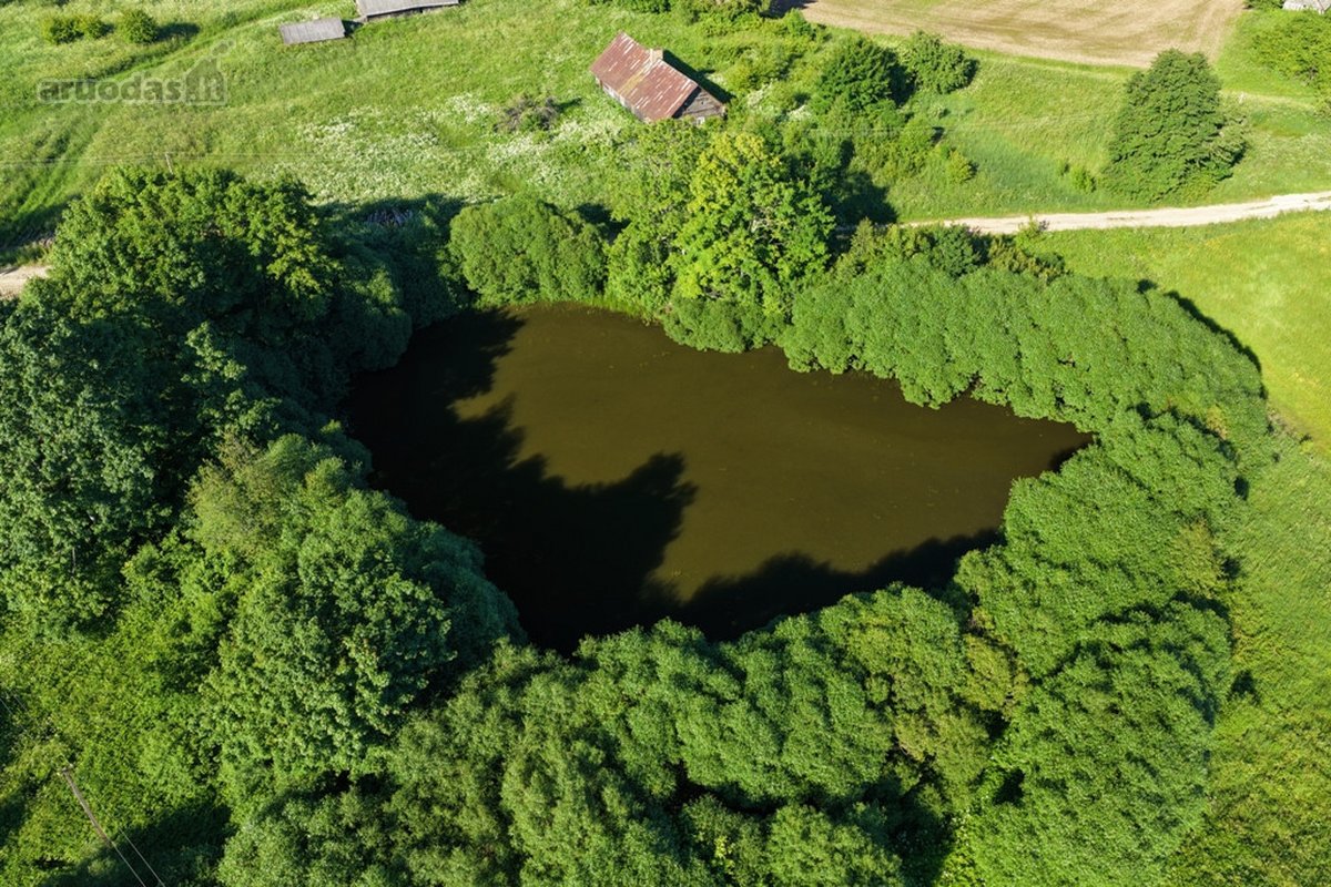 Parduodamas romantiškasis, gražią praeitį - nuotraukos Nr. 14