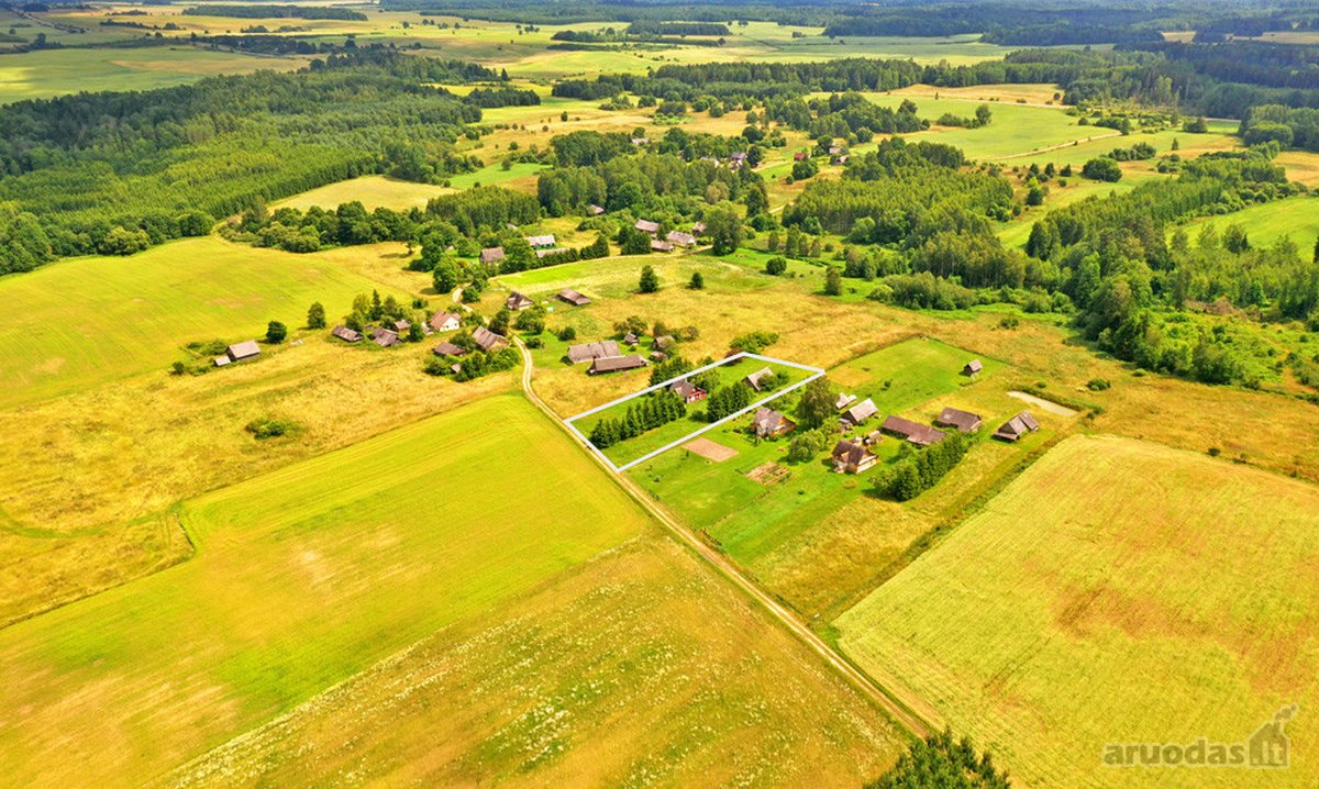 Tvarkinga, Jauki Sodyba Kalvų Ir Miškų - nuotraukos Nr. 4