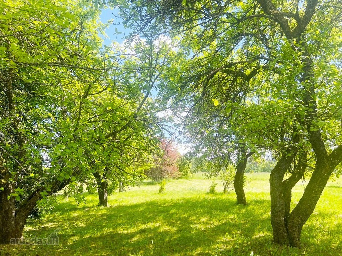 Tvarkinga, Jauki Sodyba Kalvų Ir Miškų - nuotraukos Nr. 22