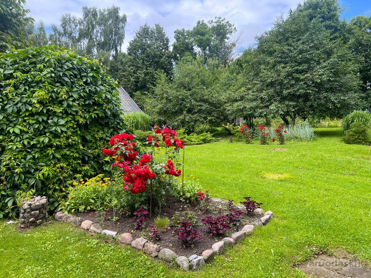 Ilgaamžių Medžių Apsupty Parduodamas - nuotraukos Nr. 20