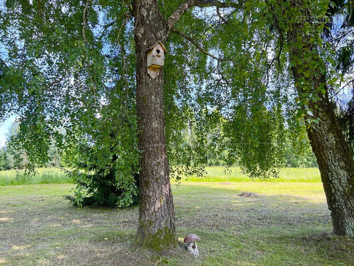 Ilgaamžių Medžių Apsupty Parduodamas - nuotraukos Nr. 24