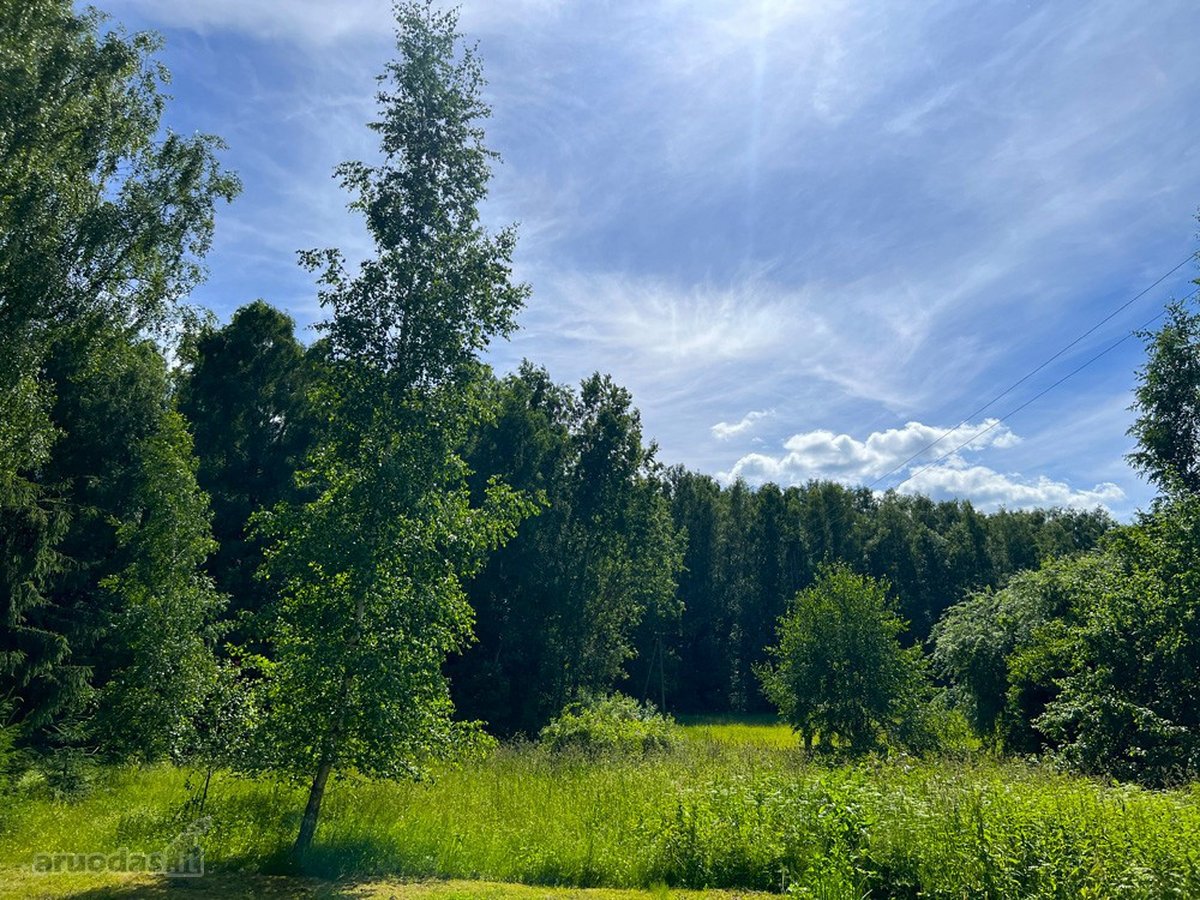 Ilgaamžių Medžių Apsupty Parduodamas - nuotraukos Nr. 25