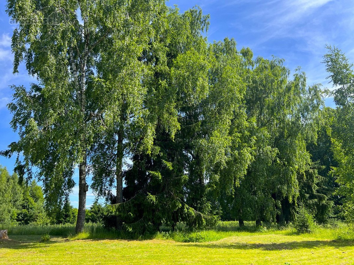 Ilgaamžių Medžių Apsupty Parduodamas - nuotraukos Nr. 26