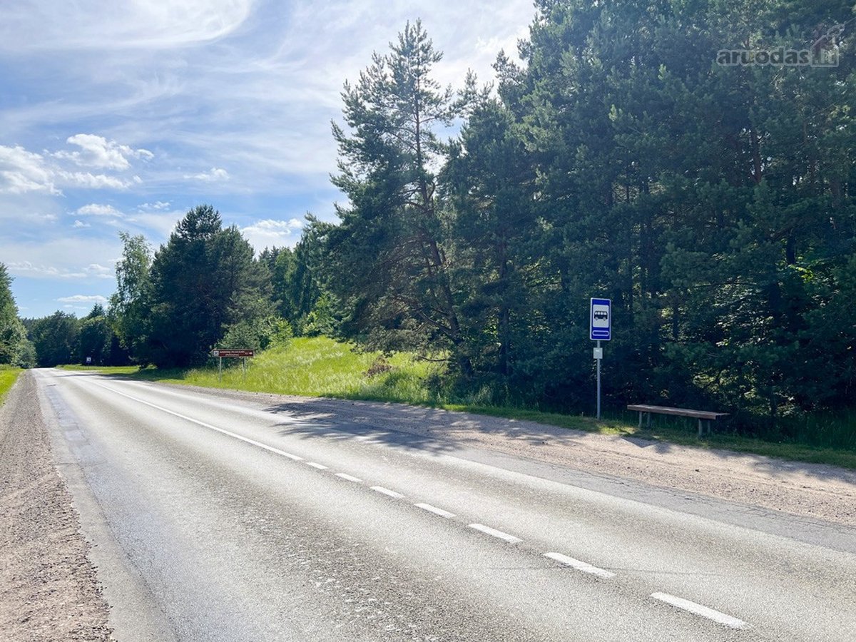 Ilgaamžių Medžių Apsupty Parduodamas - nuotraukos Nr. 28