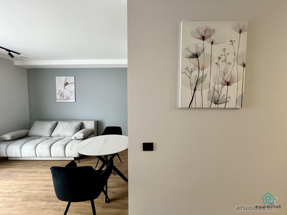 Išnuomojamas šviesus ir jaukus 1 kambario - nuotraukos Nr. 6