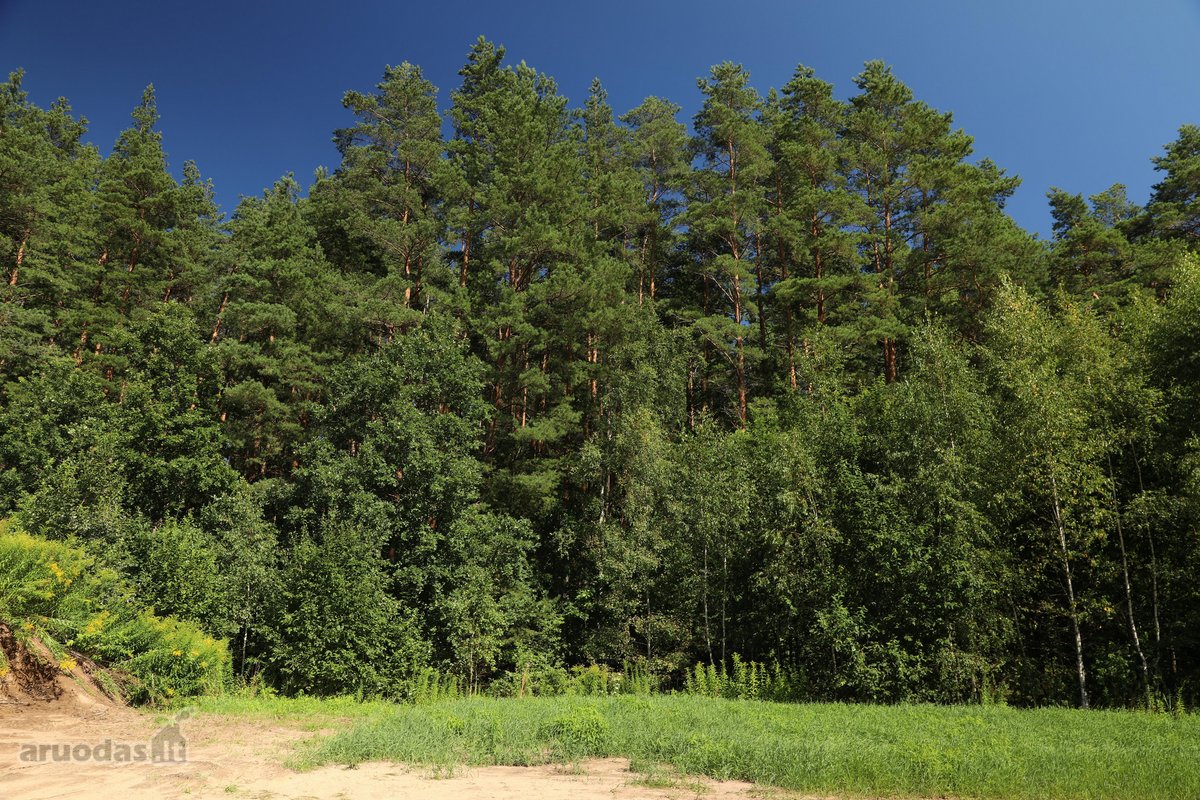 Parduodamas namų valdos sklypas Mažuosiuose - nuotraukos Nr. 3
