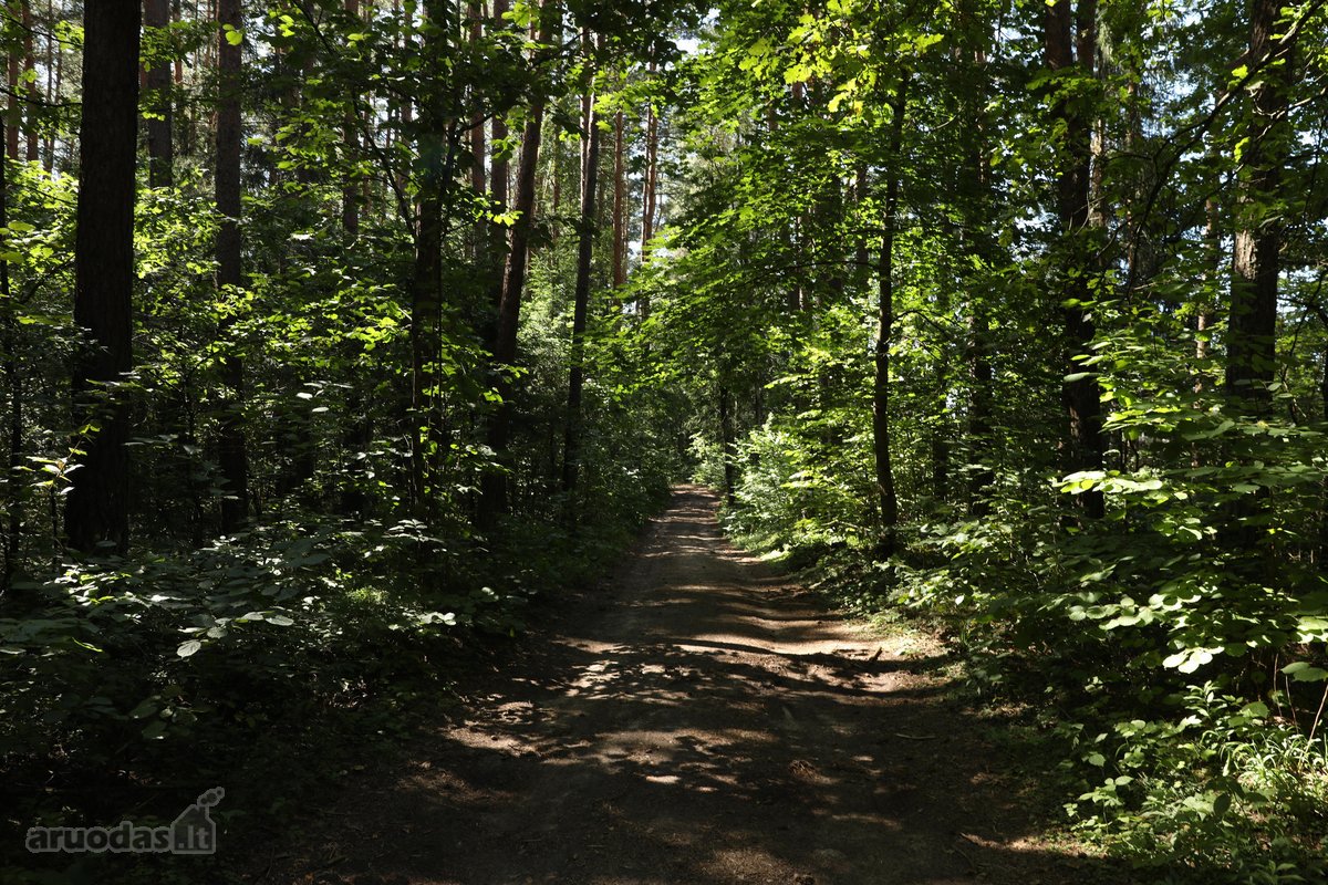 Parduodamas namų valdos sklypas Mažuosiuose - nuotraukos Nr. 5