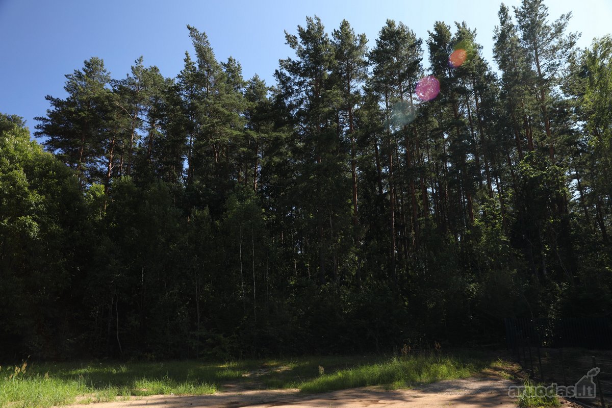 Parduodamas namų valdos sklypas Mažuosiuose - nuotraukos Nr. 8