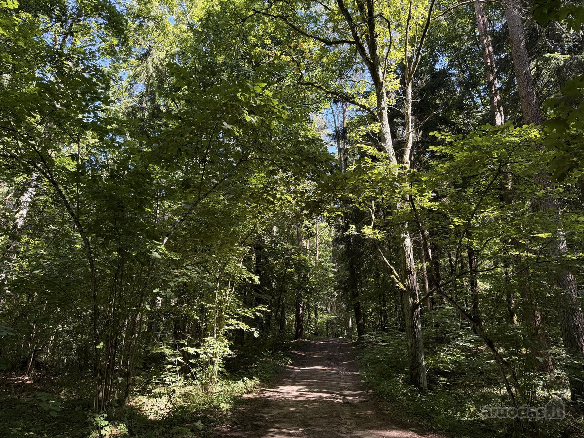 Parduodamas namų valdos sklypas Mažuosiuose - nuotraukos Nr. 12