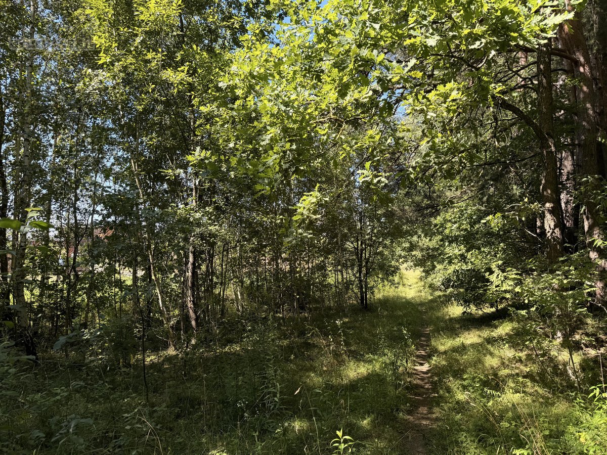 Parduodamas namų valdos sklypas Mažuosiuose - nuotraukos Nr. 15